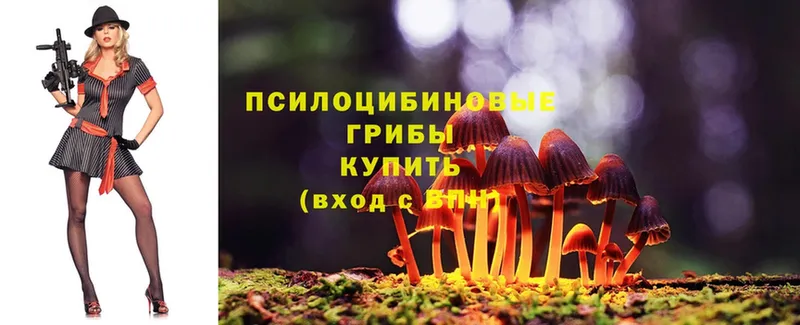 blacksprut tor  Северодвинск  Псилоцибиновые грибы MAGIC MUSHROOMS  как найти  